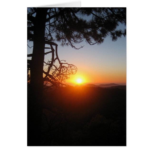 sunset silouettes 2 hälsningskort (Framsidan)