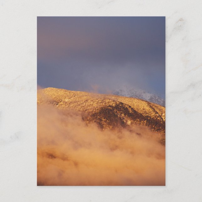 Sunset Snö Mount Bogong Vykort (Framsida)