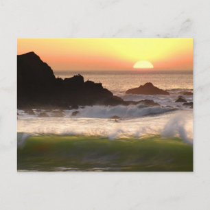 Sunset surfer vykort