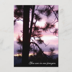 Sunset Sympathy-kort Kort