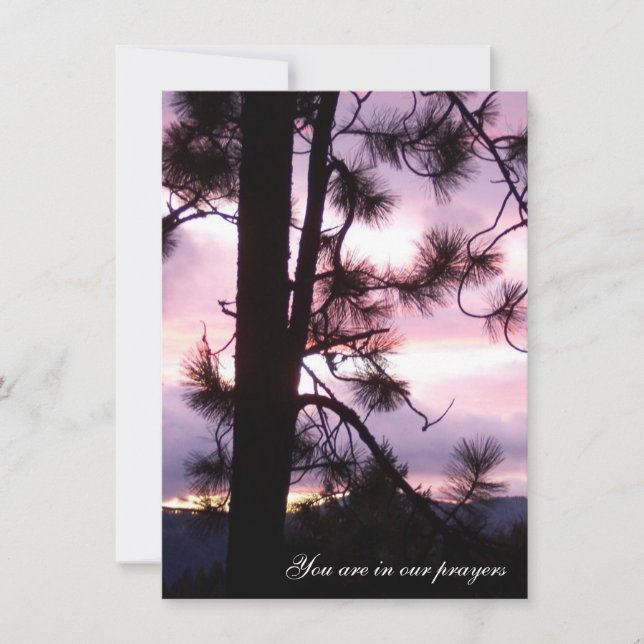 Sunset Sympathy-kort Kort (Framsida)
