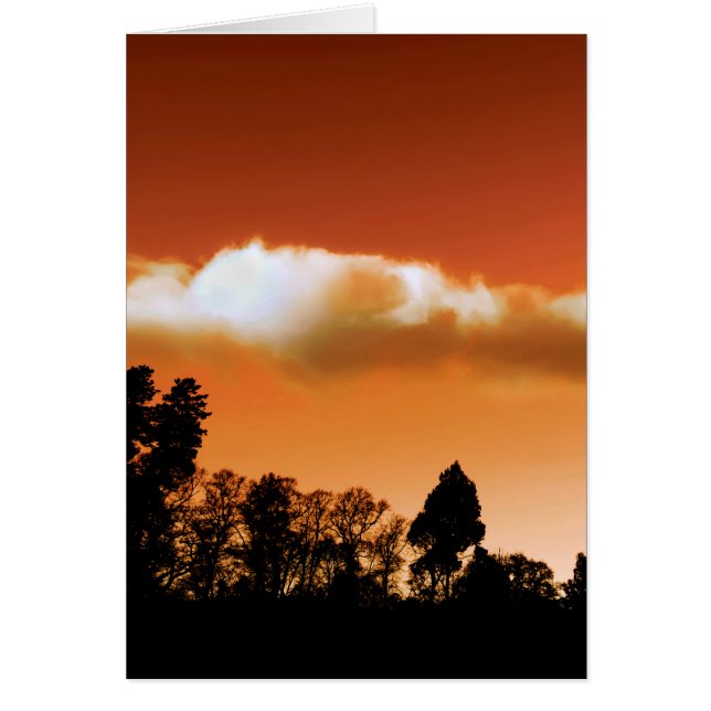 Sunset träd hälsningskort (Framsidan)