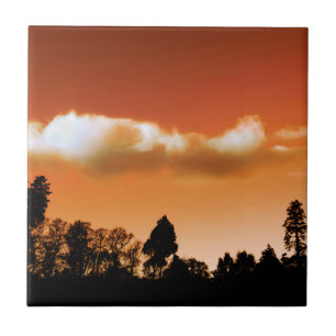 Sunset träd kakelplatta