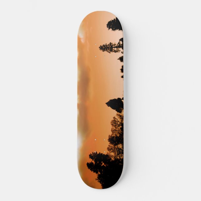 Sunset träd mini skateboard bräda 18,5 cm (Framsida)