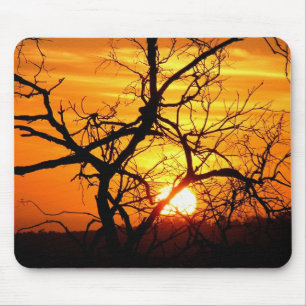 Sunset Träd Silhouette Mousepads Musmatta