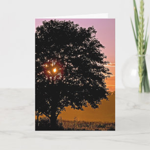 Sunset Träd Sympathy Kort
