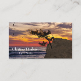 Sunset Träd Travel Writer Bloggare Magazine Visitkort