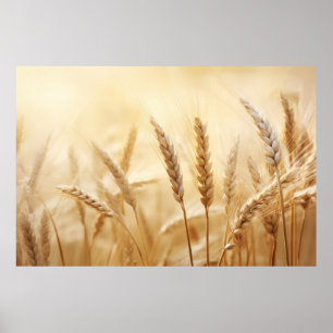 Sunset Tranquil fredliga naturen hos vete Poster