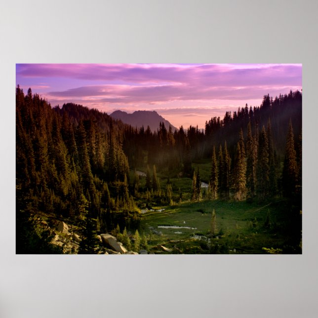 Sunset Valley Poster (Framsidan)