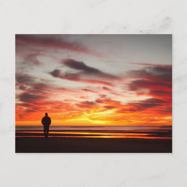 Sunset Walk Vykort (Framsida)