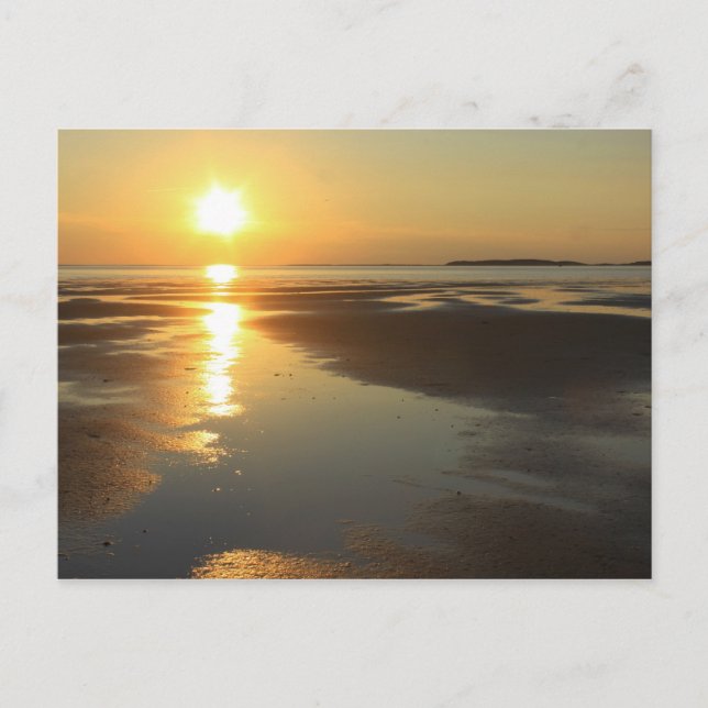 Sunset Wellflottan Bay Wildlife Sanctuary Cape Cod Vykort (Framsida)