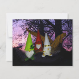 Sunset Woodland Gnomes Julkort