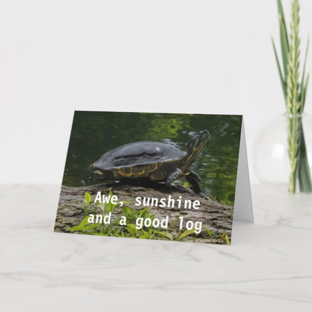 SUNSHINE/A BRA LOG OCH EN ÖNSKAN PÅ DIN BIRTHDAY KORT (Framsida)