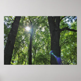 Sunshine Bubble Poster