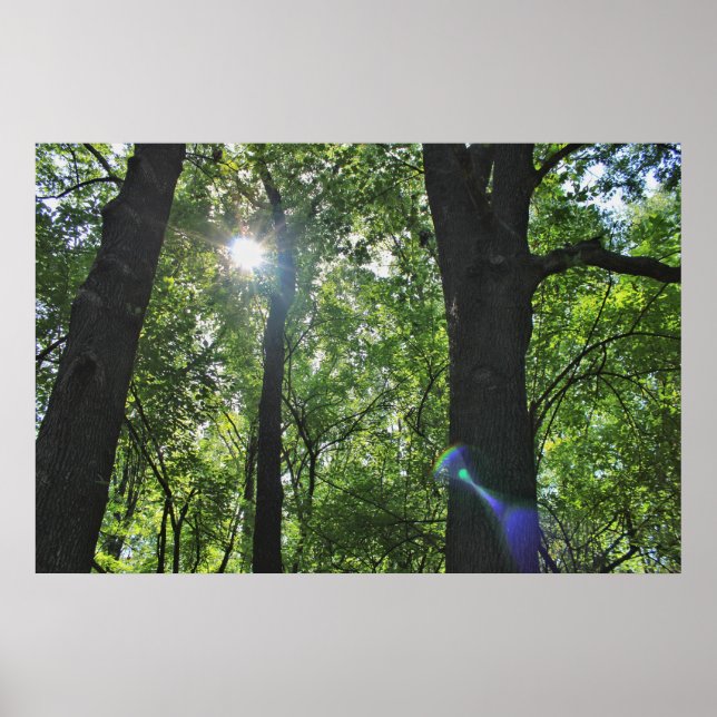 Sunshine Bubble Poster (Framsidan)