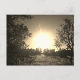 SUNSHINE ECO STIL DESIGN VYKORT