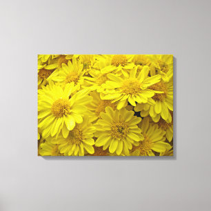 Sunshine Gult Chrysanthemums Canvastryck