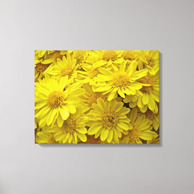 Sunshine Gult Chrysanthemums Canvastryck (Framsida)
