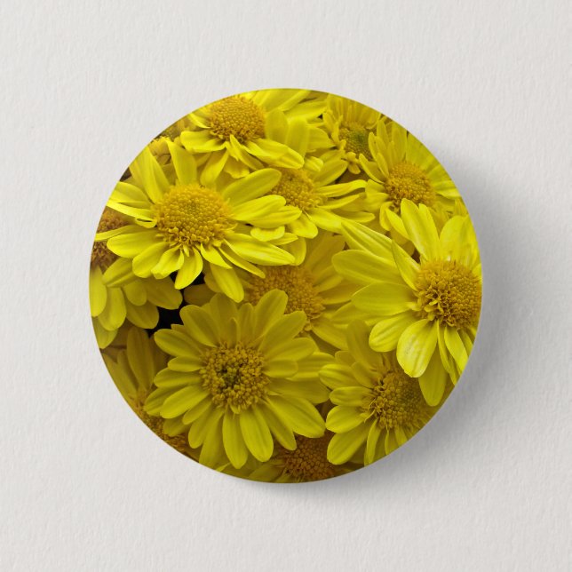 Sunshine Gult Chrysanthemums Knapp (Framsida)