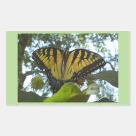Sunshine Gult Monarch Rektangulärt Klistermärke
