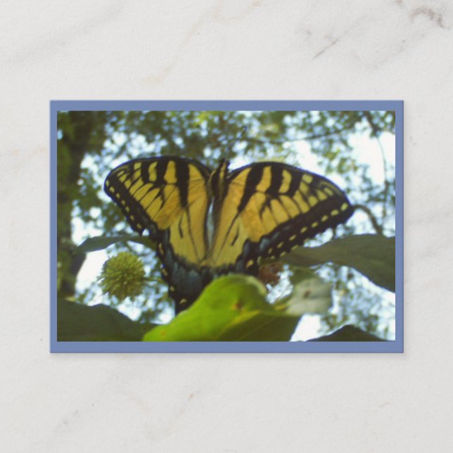 Sunshine Gult Monarch Visitkort (Framsida)