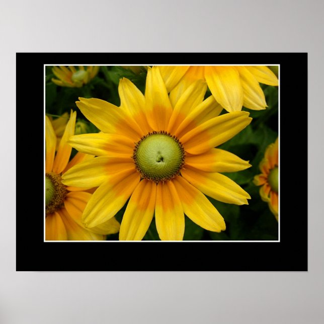 Sunshine II Poster (Framsidan)