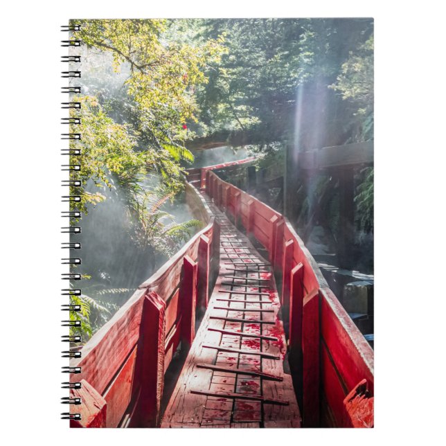 Sunshine in the Termas Geometricas, Conaripe, Chil Anteckningsbok (Framsidan)