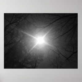 Sunshine-Noir Poster