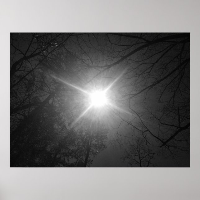 Sunshine-Noir Poster (Framsidan)