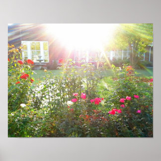 SUNSHINE OCH RO poster