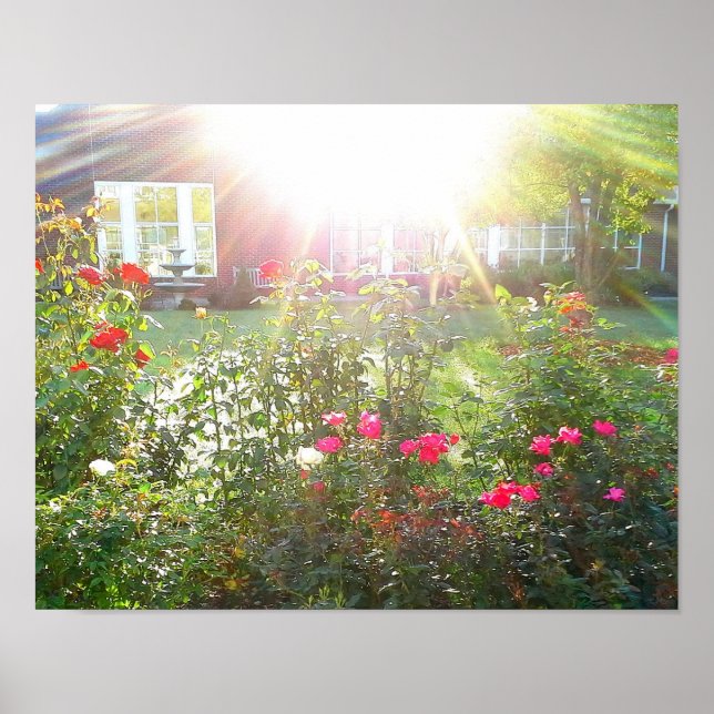 SUNSHINE OCH RO poster (Framsidan)