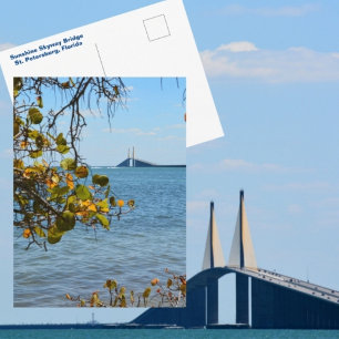 Sunshine Skyway Bridge St Petersburg Foto Vykort