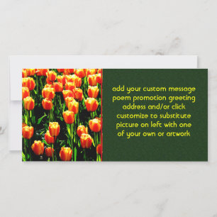Sunshine Tulips