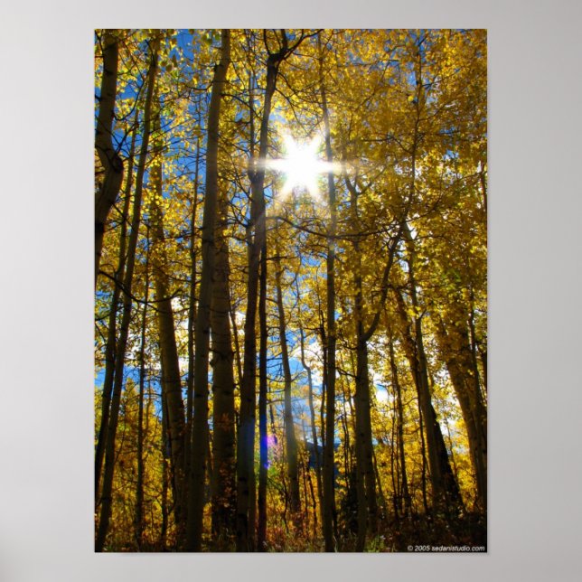 Sunstar Poster (Framsidan)