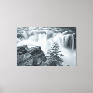 Sunwapta Falls bw Canvastryck