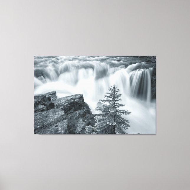 Sunwapta Falls bw Canvastryck (Framsida)