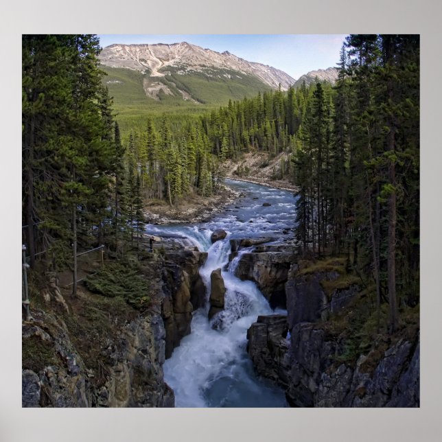 SUNWAPTA FALLS - CANADIAN ROCKIES POSTER (Framsidan)