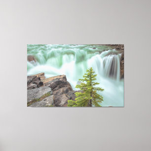 Sunwapta Falls Canvastryck