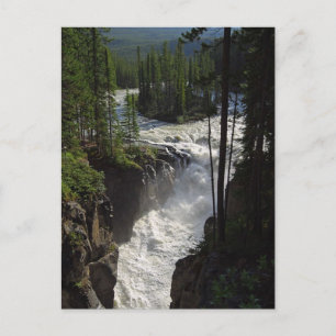 Sunwapta Falls in Jasper nationalpark Vykort