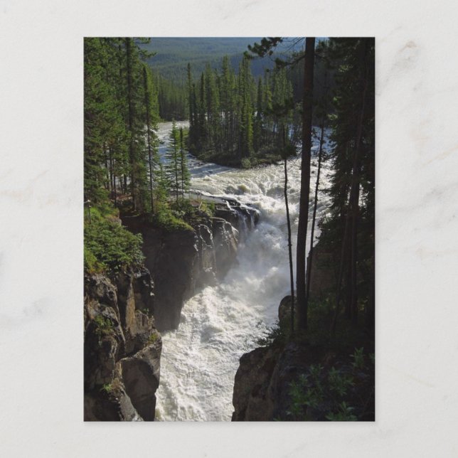 Sunwapta Falls in Jasper nationalpark Vykort (Framsida)
