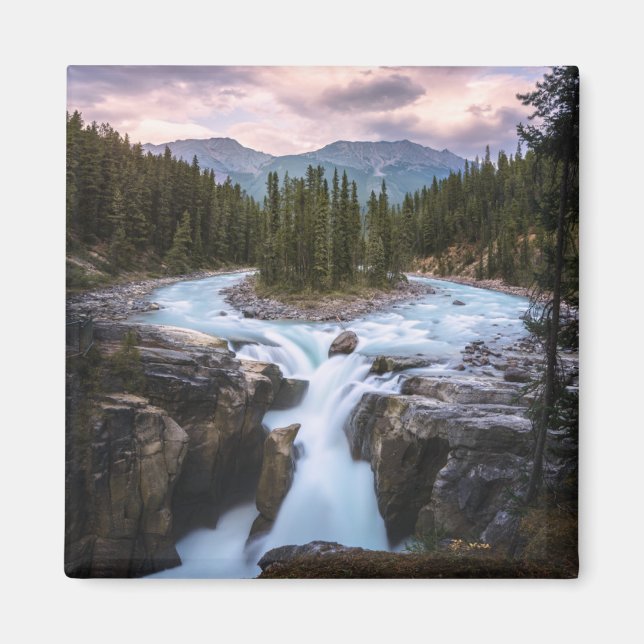 Sunwapta Falls | Jasper nationalpark Magnet (Framsidan)