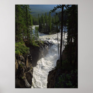 Sunwapta Falls Jasper nationalpark Poster