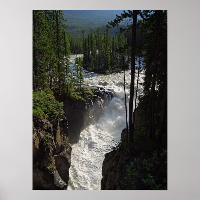 Sunwapta Falls Jasper nationalpark Poster (Framsidan)