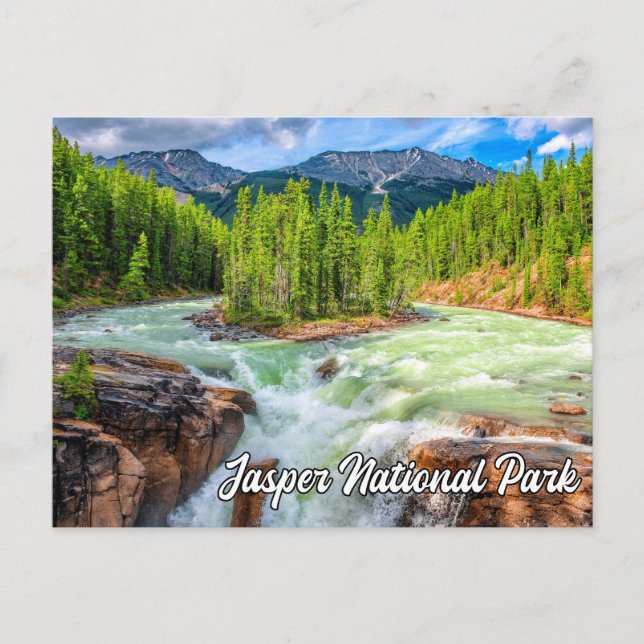 Sunwapta Falls, Jasper nationalpark Vykort (Framsida)