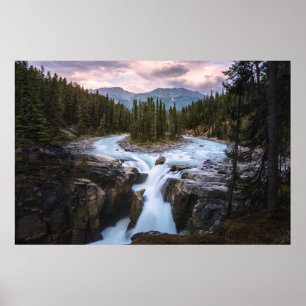 Sunwapta Falls Jaspernationalpark Poster