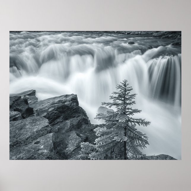 Sunwapta Falls svartvitt Poster (Framsidan)