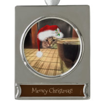 Sup Beer? Lustigt fotfotografi av Humor Kattunge