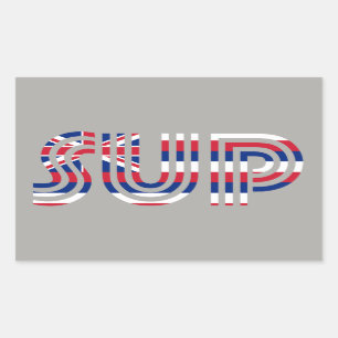 SUP Hawaii Flagga Retro Rektangulärt Klistermärke