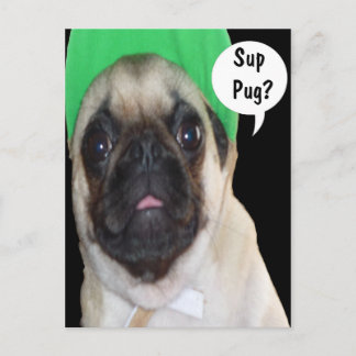 Sup Pug? Vykort