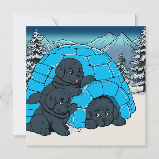 Super chill Newfoundland-valp  Julkort (Framsida)